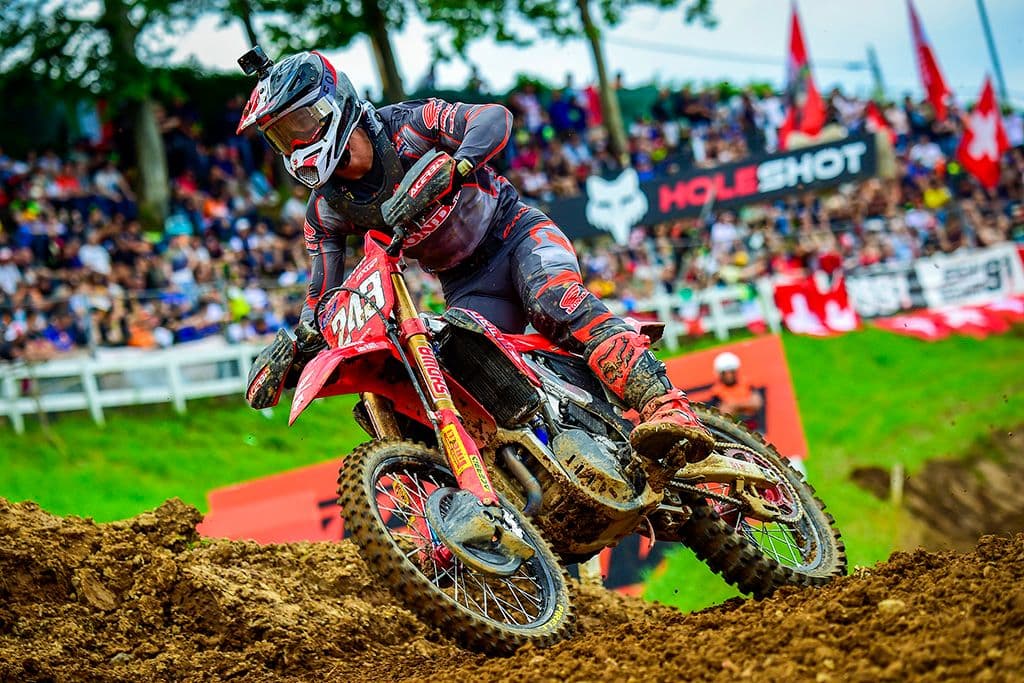 Gajser and Coenen Quickest