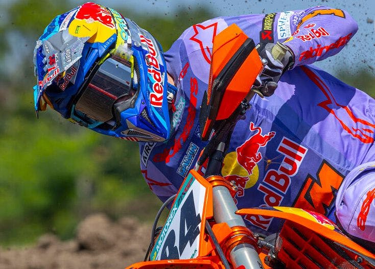 Herlings Quick Early - Lommel image