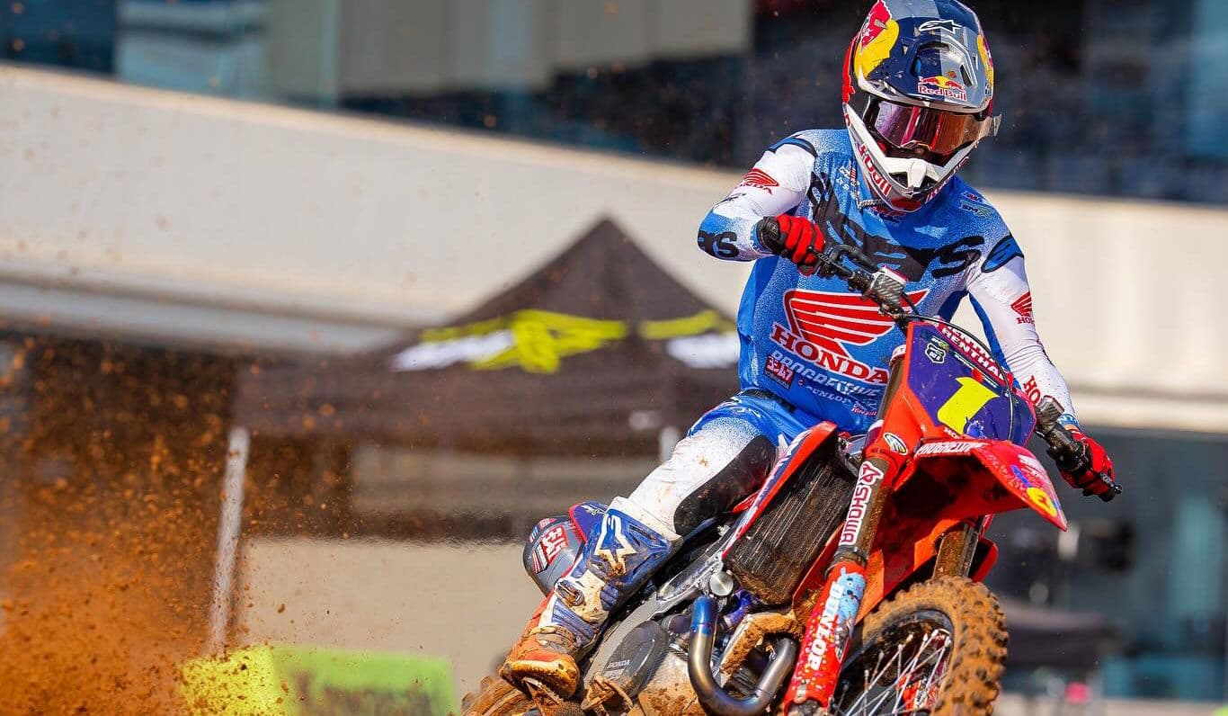 Goat In the Making - Video image