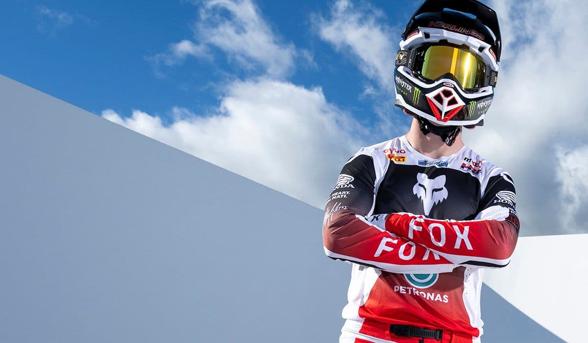 Herlings And Preperation image