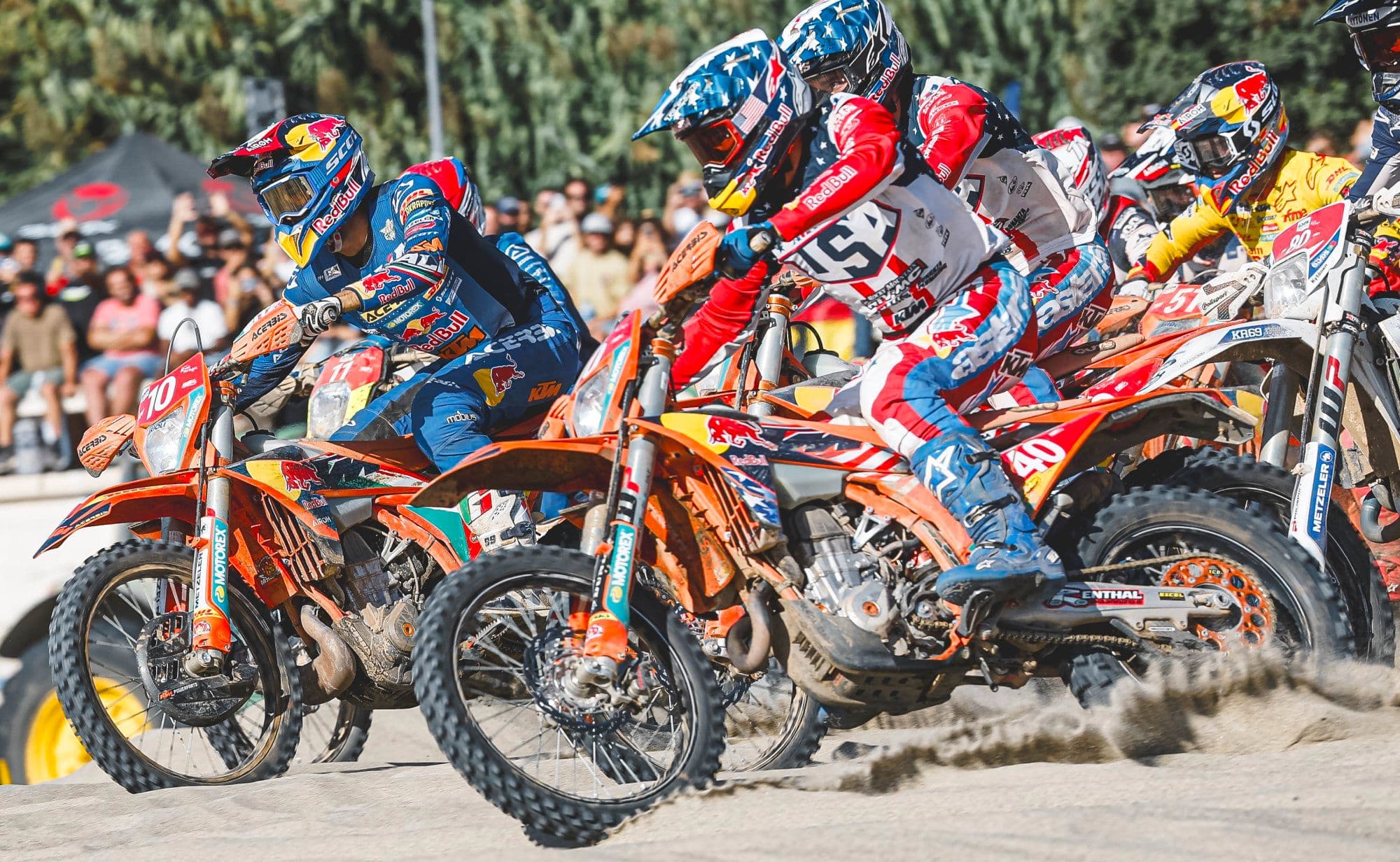 Verona - King of ISDE image