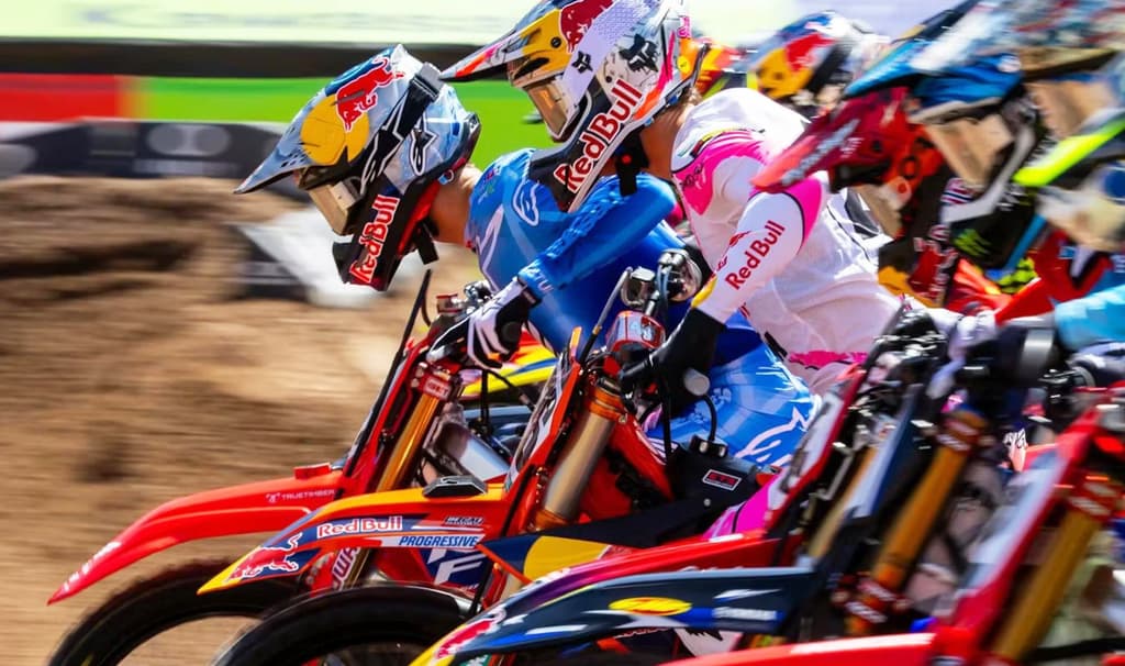 Pala Opener - Live image