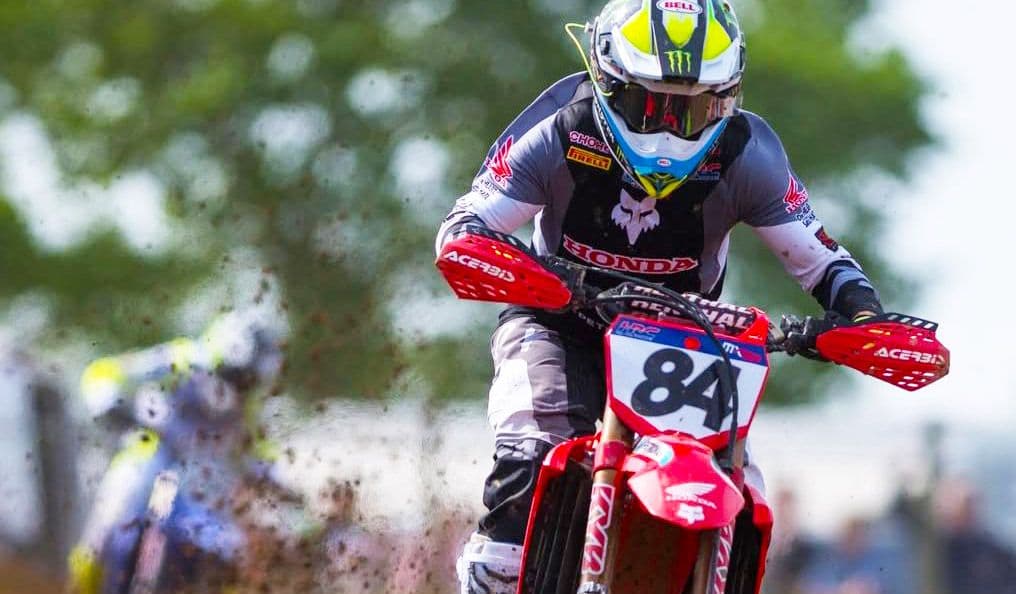 Herlings In France - Victory image