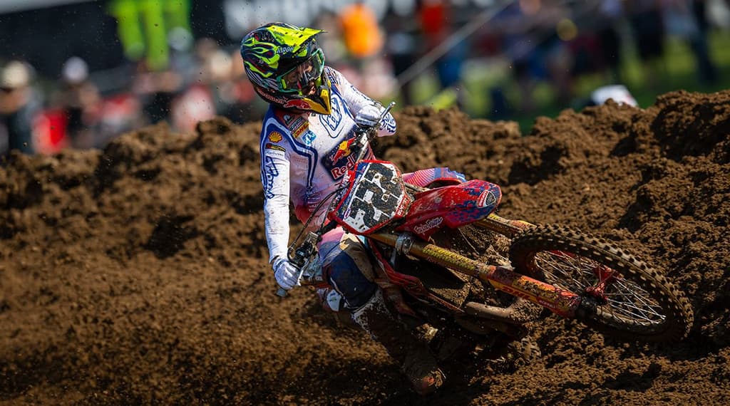 Cairoli and Redbud image