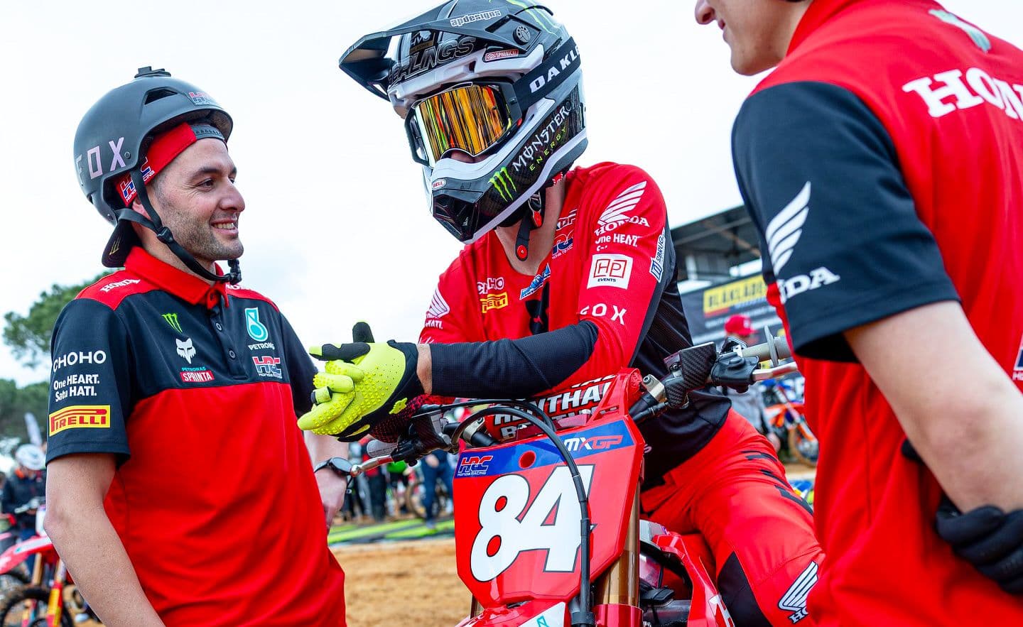 Herlings Again Quickest image