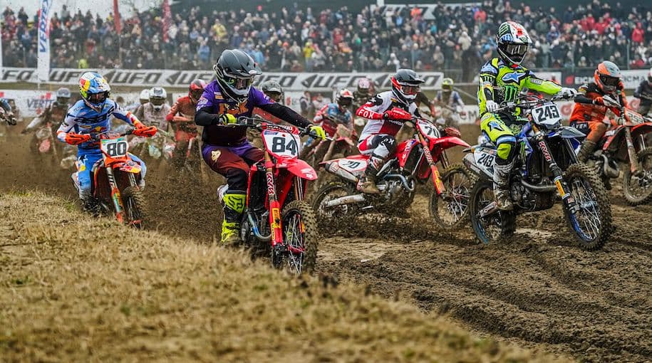 Gajser Great in Mantova image