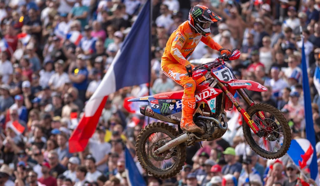 Herlings and Vialle Impress image