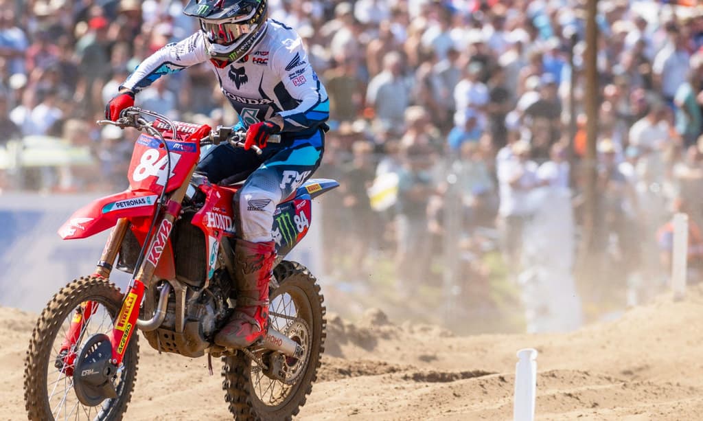 Herlings - Sweden and Points Leads image