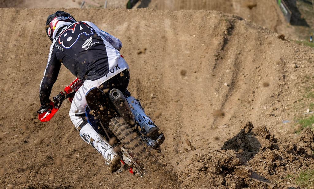 Herlings Quickest - Coenen 13th image