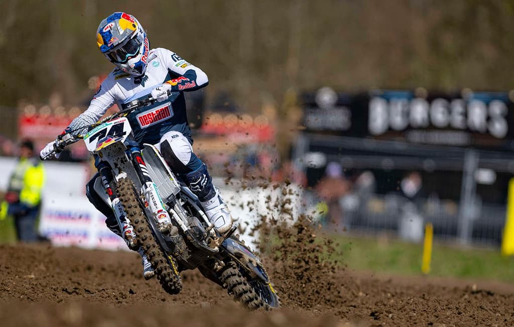 De Wolf on Pole - France image