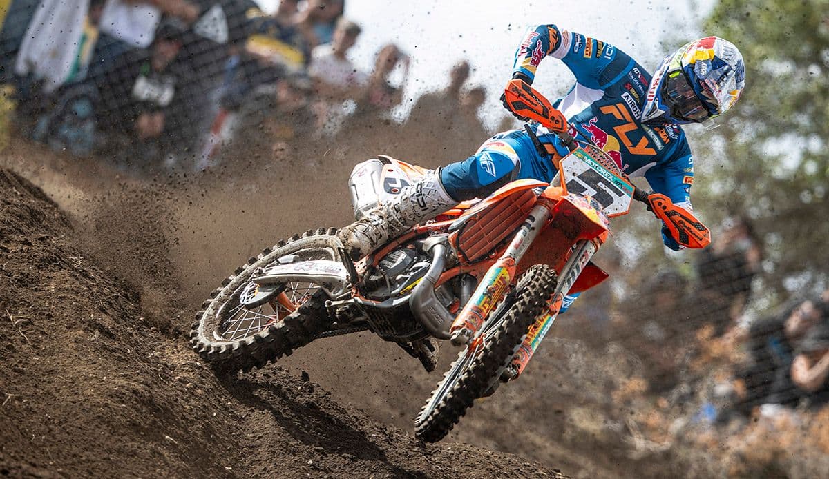 Coenen Quickest - Just image