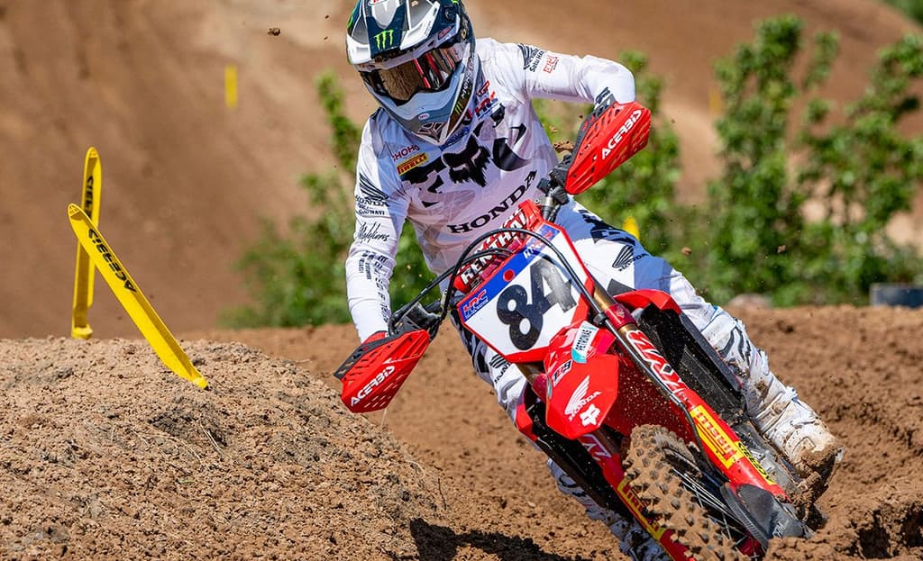 Herlings On Pole - Lommel image