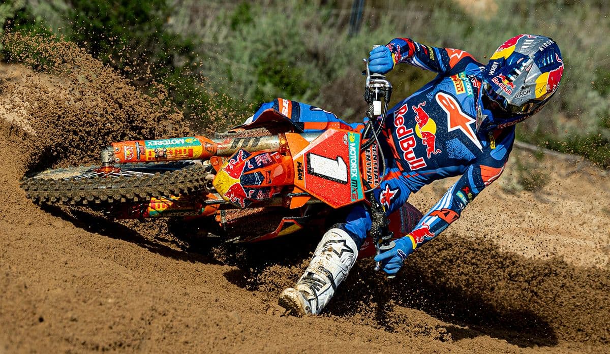 Langenfelder - The Champion image