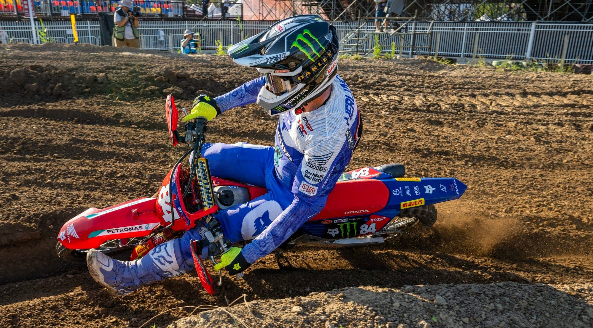 Herlings On Pole in Darwin image