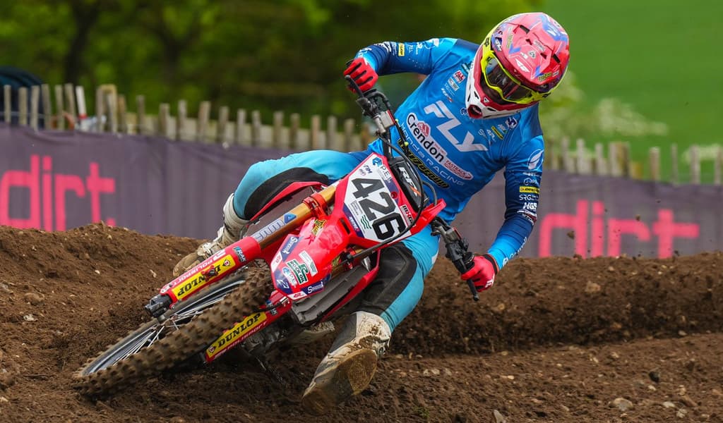 Mewse at Lyng - Consistent image