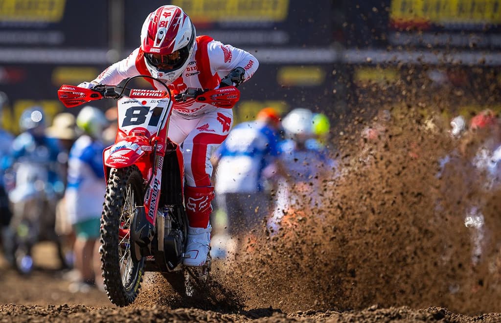 Shimoda - Injury Update image