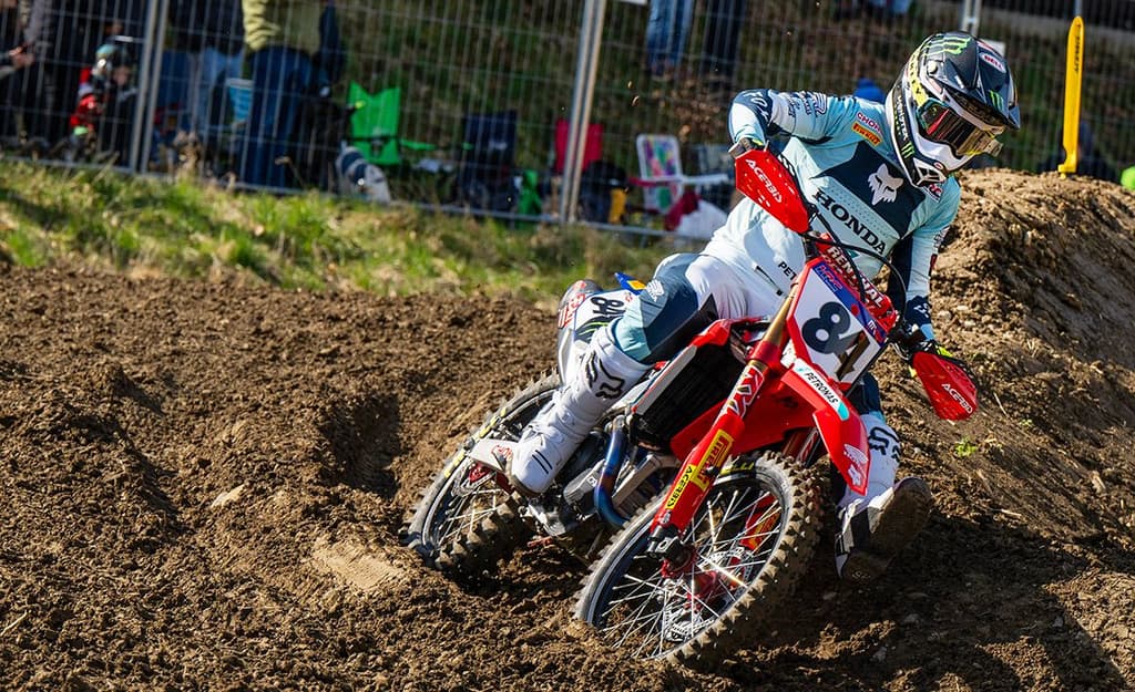 Herlings vs Mewse - Live Stream image