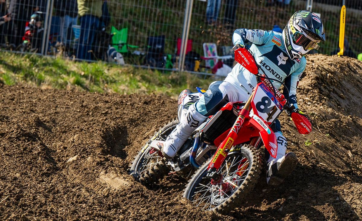 Herlings vs Mewse - Live Stream image