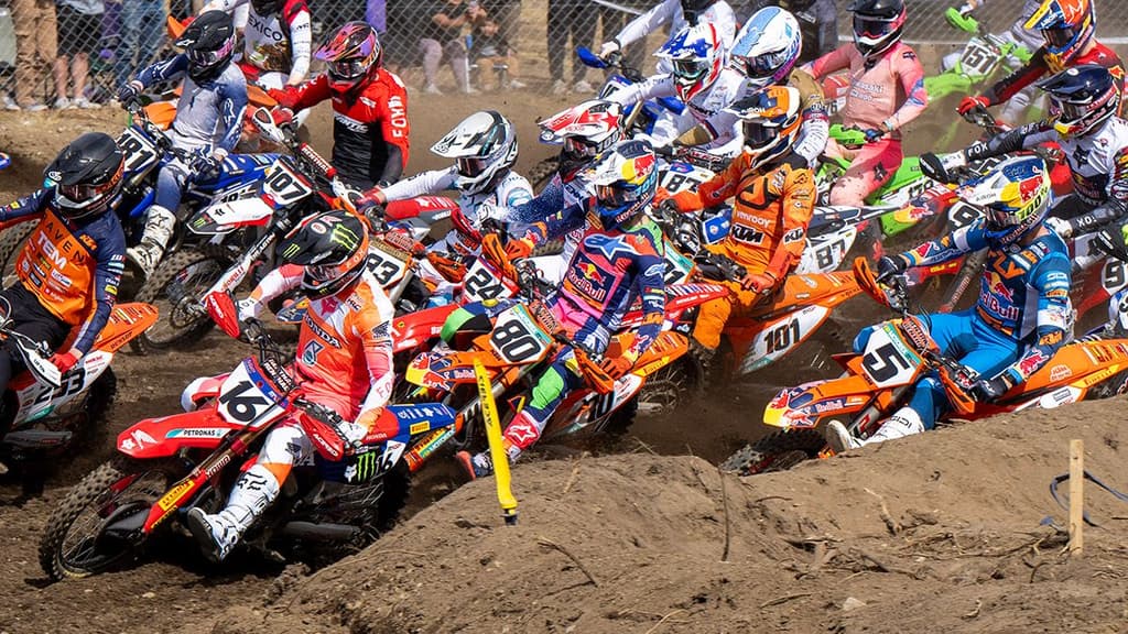 Argentina - Saturday Highlights image