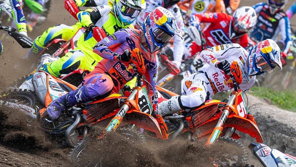 Montevarchi - Entries and Schedule image